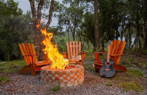 Alma Cabanas De Altitude - Urubici - Photo 50