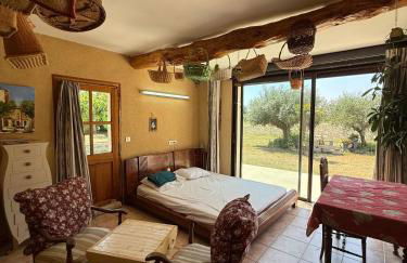 Villa spacieuse à Richerenches - Foto 41