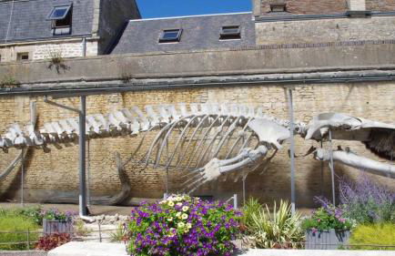 Appartement à 100m de la plage - Photo 15