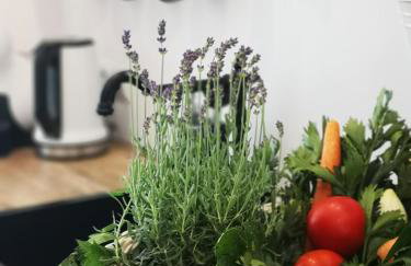 Spa Love Apartament Sauna Jacuzzi ROMANTYCZNY APARTAMENT DLA PARY Z PRYWATNYM SPA - Foto 39