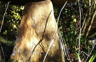 Whitchurch Farm Guesthouse - Foto 27