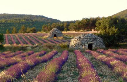 Résidence Château Ferrassières - Foto 56