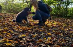 Ferienwohnungen & Landlust Fulda - Photo 43