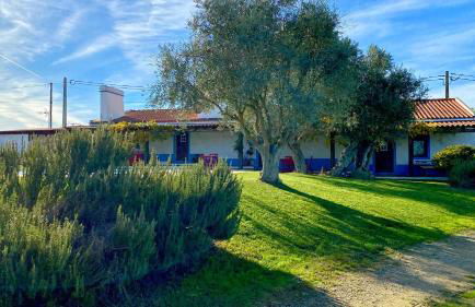 Quinta da Tapada de São Pedro - Foto 75