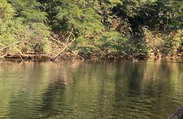 Sítio do Ziquinha - Photo 22