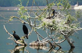 Kerkini's Harmony House - Foto 39