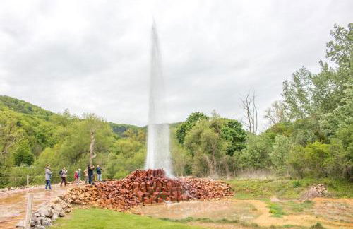FeWo mit Terrasse Neuwied & Koblenz - Foto 31