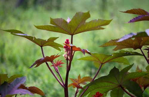 Rustykalny Apartament - Foto 4