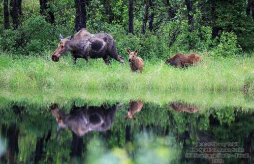 2 King Bedrooms each with full bath, Amazing Views! - Foto 19