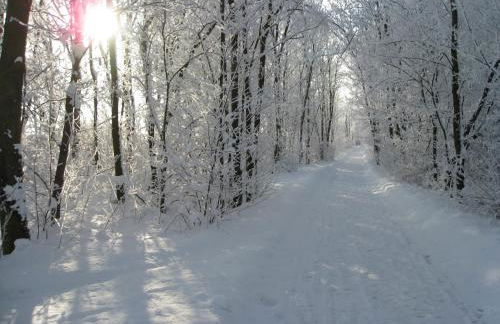 Ferienappartements "Landromantik" - Foto 79