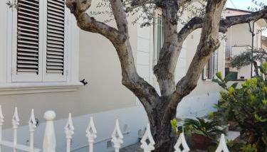 La dimora dei Conti - Foto 2