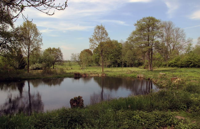 Lindstedter Gutsstuben - Foto 10