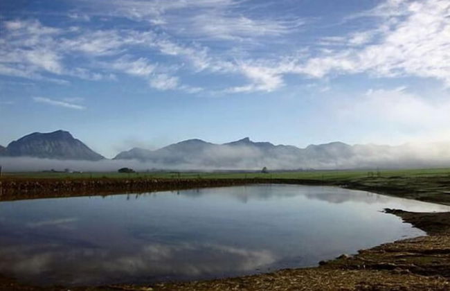 Eikelaan Farm Cottages - Foto 19