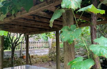 A Debesa do Rei - Foto 22