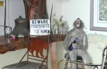 Whitebird Summit Lodge - Foto 25