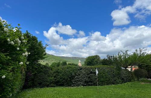 Maison agréable et lumineuse, jardin vue nature, Nant Aveyron - Photo 20
