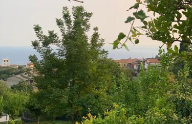 Villa Bonanno Conti - Foto 13