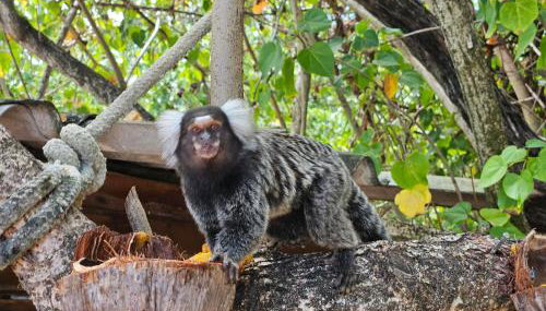 Romantic Sea Villa w/AMAZING SEA VIEW - DIRECTLY ON THE BEACH! - Foto 2