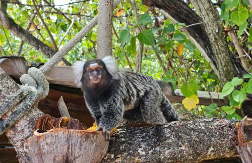 Romantic Sea Villa w/AMAZING SEA VIEW - DIRECTLY ON THE BEACH! - Foto 2