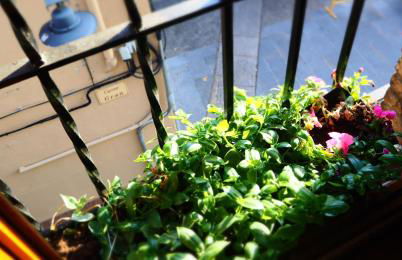 Can Marlot - Foto 32