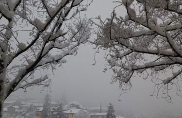 Villa Primula - Foto 48