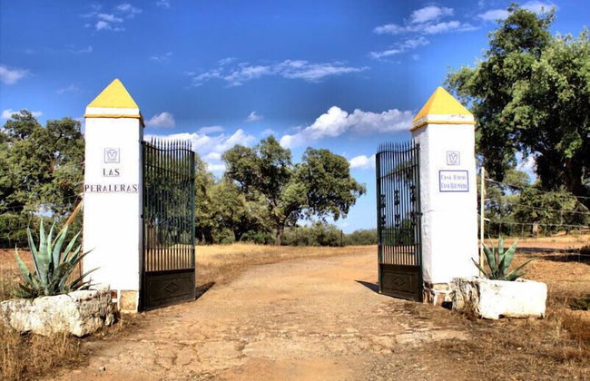 Dehesa Casa Quemada - Photo 25
