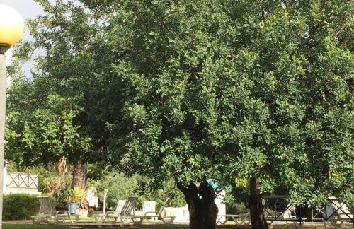 Tavira Garden- 2 bedrooms-2pools-2 balconies - Foto 29