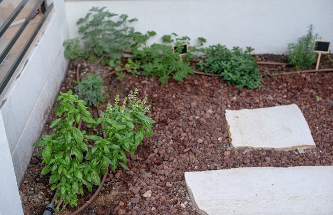 Dov Garden apartment with private pool - Foto 77