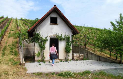 Haus mit Seele im Nahetal - Foto 46