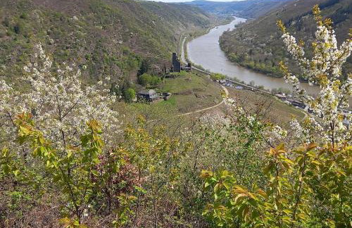 Burg Coraidelstein - Foto 32