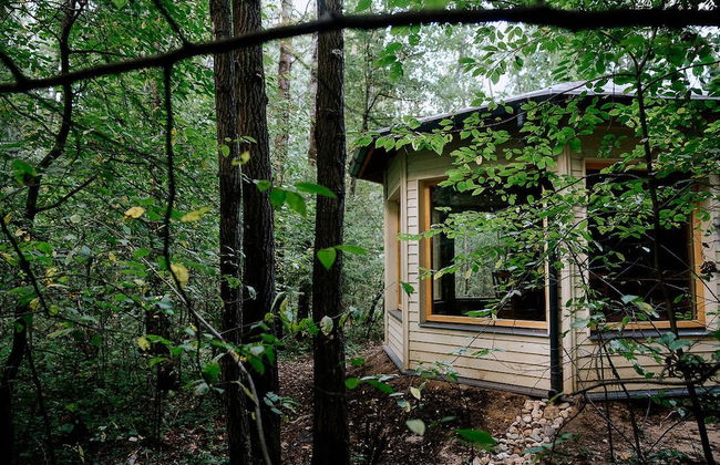 Skokovo Park - Foto 80