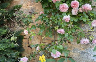 Gites du Boussagou - Foto 41