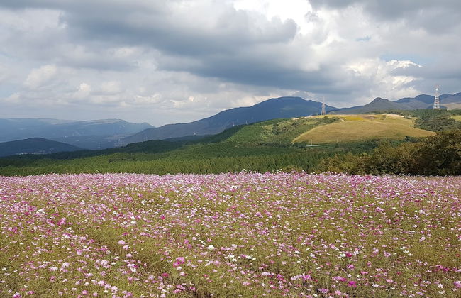 Lassy Condominium - Foto 43