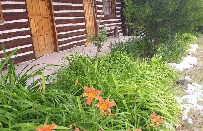 Room-parador Arewá La Energía Que Impuls - Foto 21