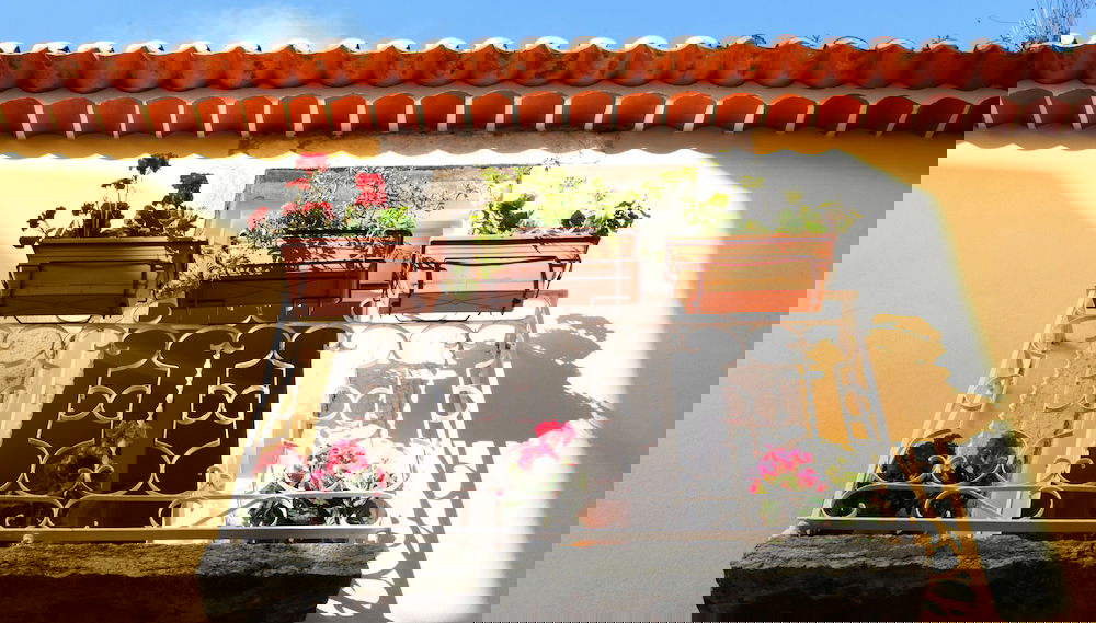 Alfama Yellow House - Foto 1, Imagen principal