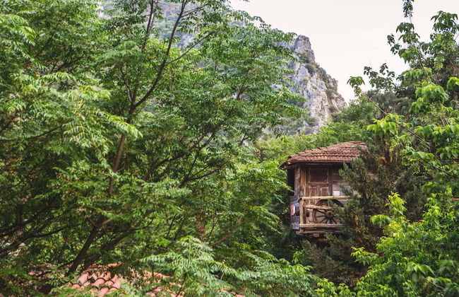Kadir's Tree Houses - Photo 20