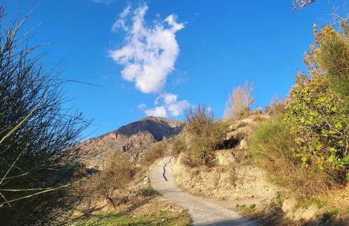 Casa Blanca, Acequias, Lecrin valley, Granada - Foto 23