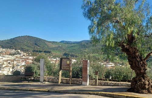 Casa Diego. Algodonales (Cadiz) - Photo 40