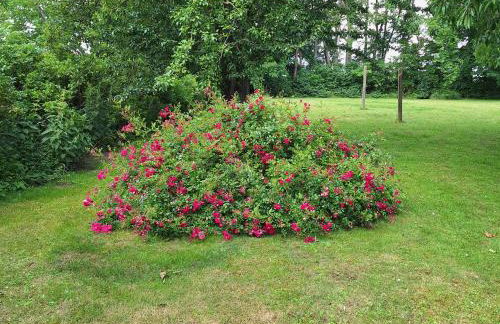 Das Apfelhaus - Foto 25