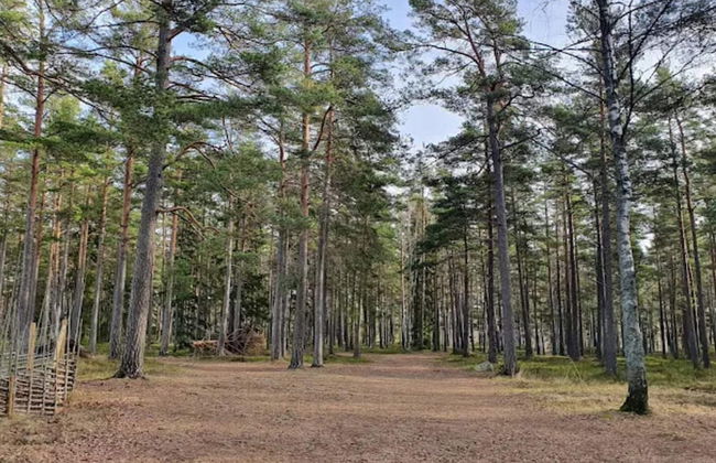 4 Person Holiday Home in Ingaro-by Traum - Photo 13