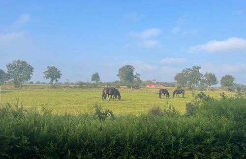 Charmantes Butzen-Nest am Radweg - Foto 16