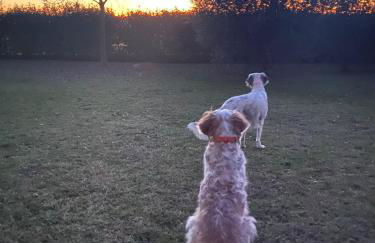 Pace, Luminosità e Comodità a due passi dal Garda - Foto 22