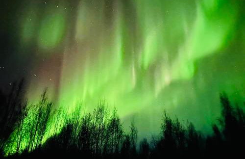 Alaska Getaway - Foto 61