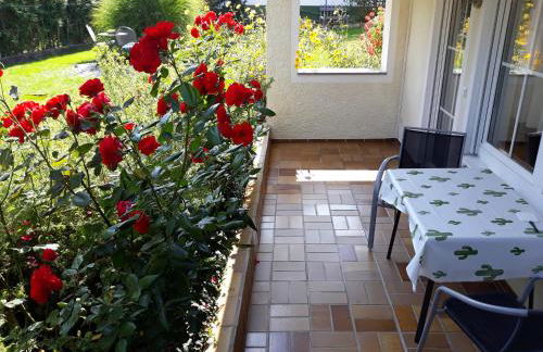 Gästehaus Baumgartner - Foto 17