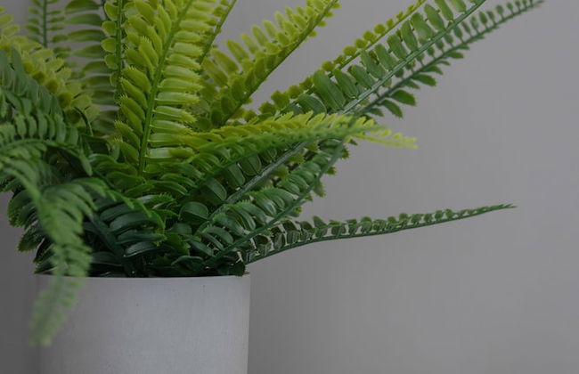 Bażantów Studio Katowice by Renters - Photo 40