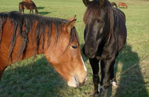 Holiday home guest comfort - Foto 19