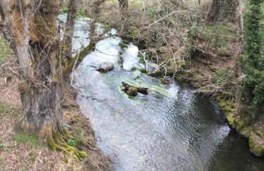 El Carro del Abuelo - Foto 23