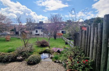 Vogelnescht19 - Foto 22