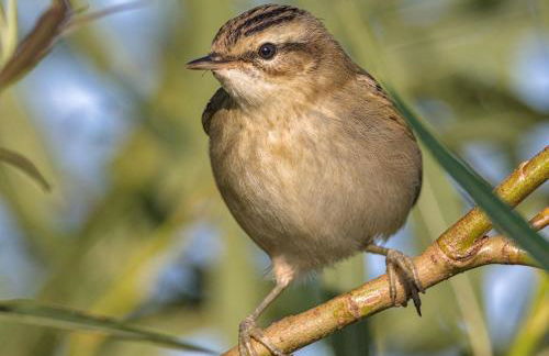The Workshop- Eco Cottage by the Coastal Path - Photo 48
