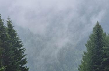 Przytulne Apartamenciki tuż przy Termach i Parku, nieopodal szlak na Turbacz, GPN, KGP - Foto 48